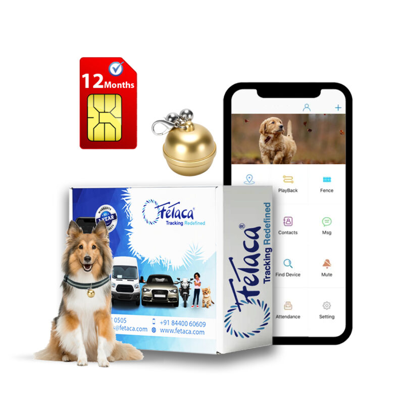 FETACA® Dog GPS Tracker | Real-Time | 12M SIM & App | Gold | For All Breeds