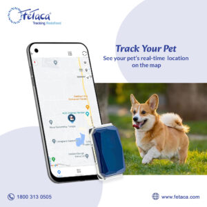 pet tracker
