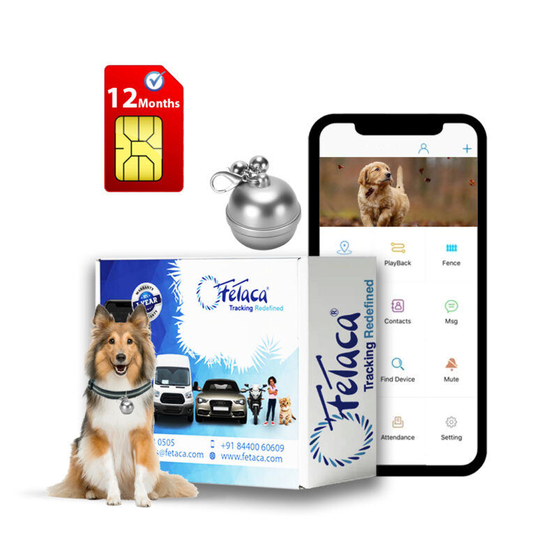 silver pet gps tracker