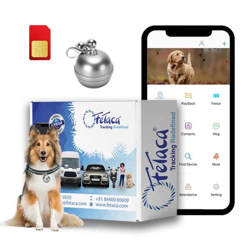 FeTaca Smart Bell Shaped Pet GPS Tracker for Dogs, Cats & Other Animals(Silver)