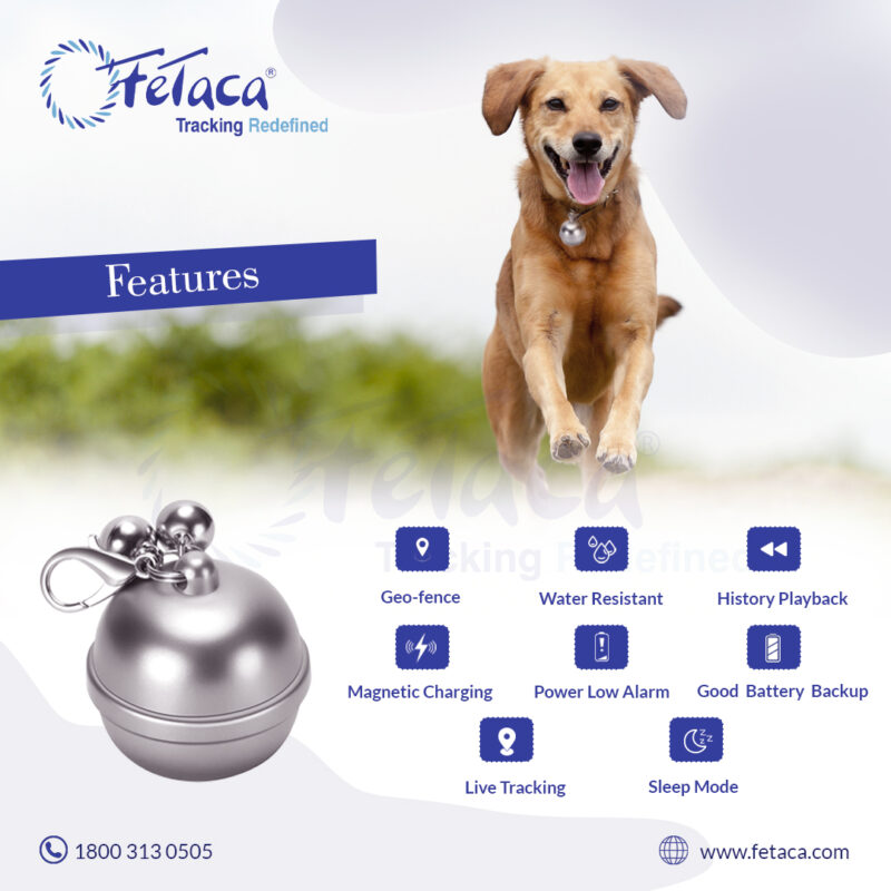Silver pet gps tracker