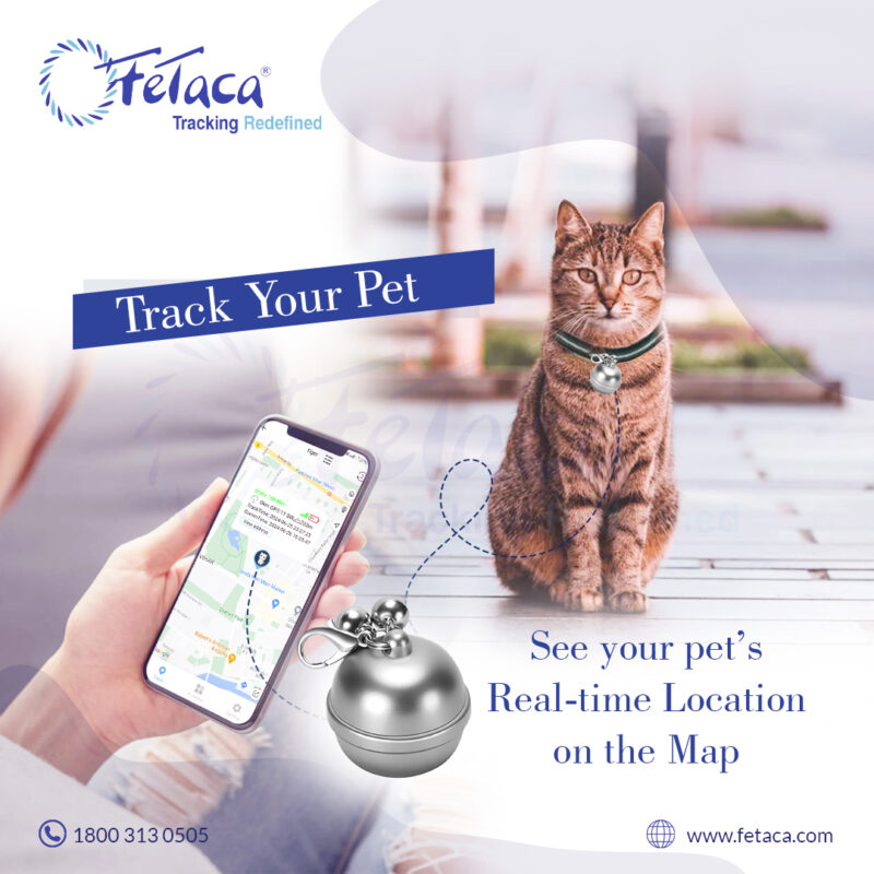 silver pet gps