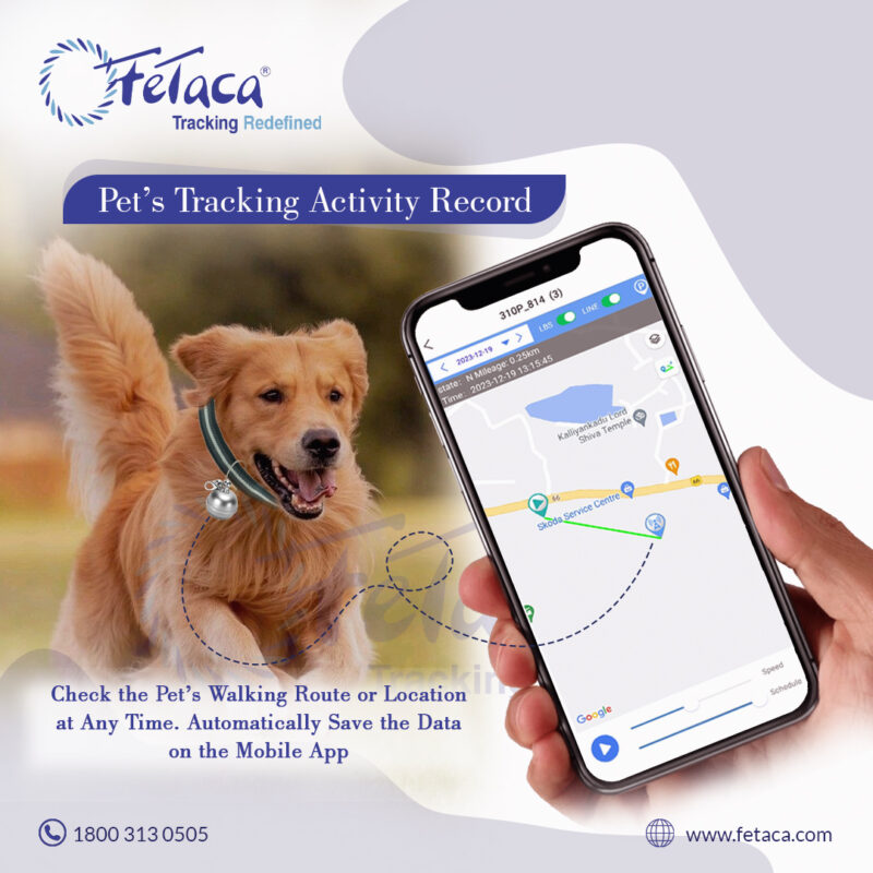 silver pet gps