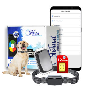 FETACA® 4G Waterproof Pet GPS Tracker with Activity & More