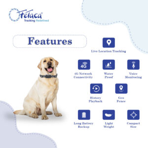 FETACA® 4G Waterproof Pet GPS Tracker with Activity & More