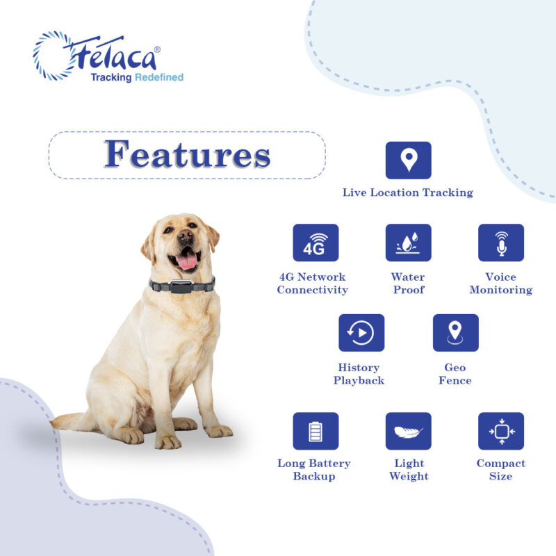 FeTaca® 4G Waterproof Pet GPS Tracker with Activity & More