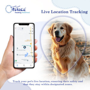 FETACA® 4G Waterproof Pet GPS Tracker with Activity & More