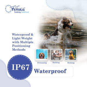 FETACA® 4G Waterproof Pet GPS Tracker with Activity & More