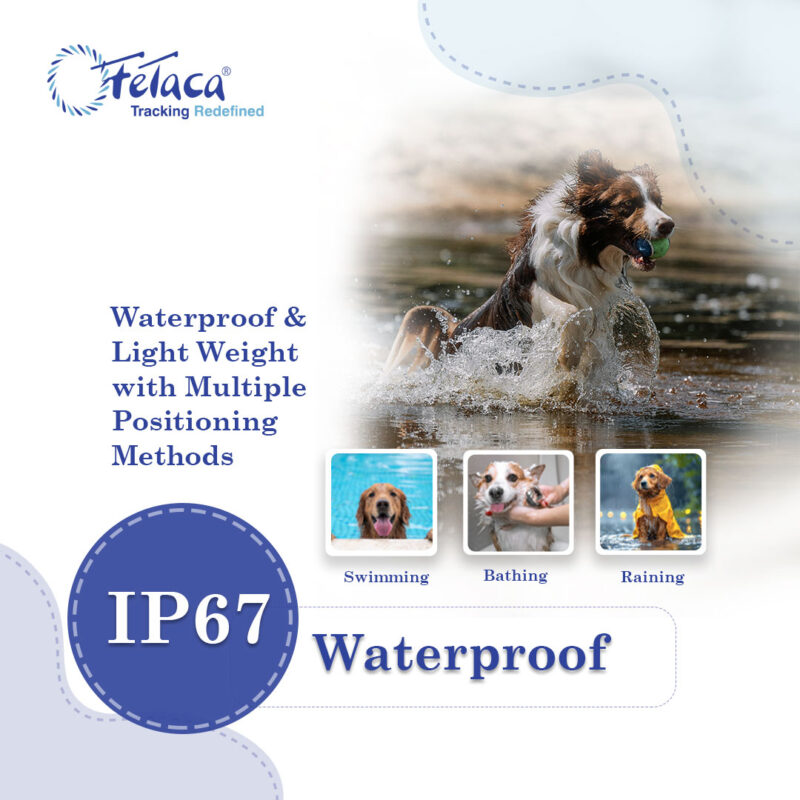 FeTaca® 4G Waterproof Pet GPS Tracker with Activity & More