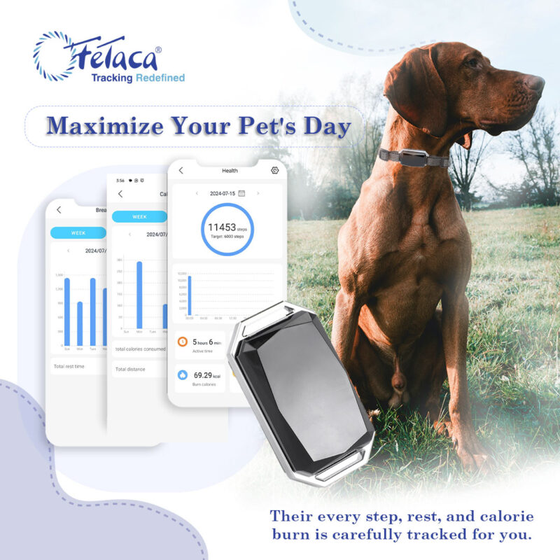 FeTaca® 4G Waterproof Pet GPS Tracker with Activity & More