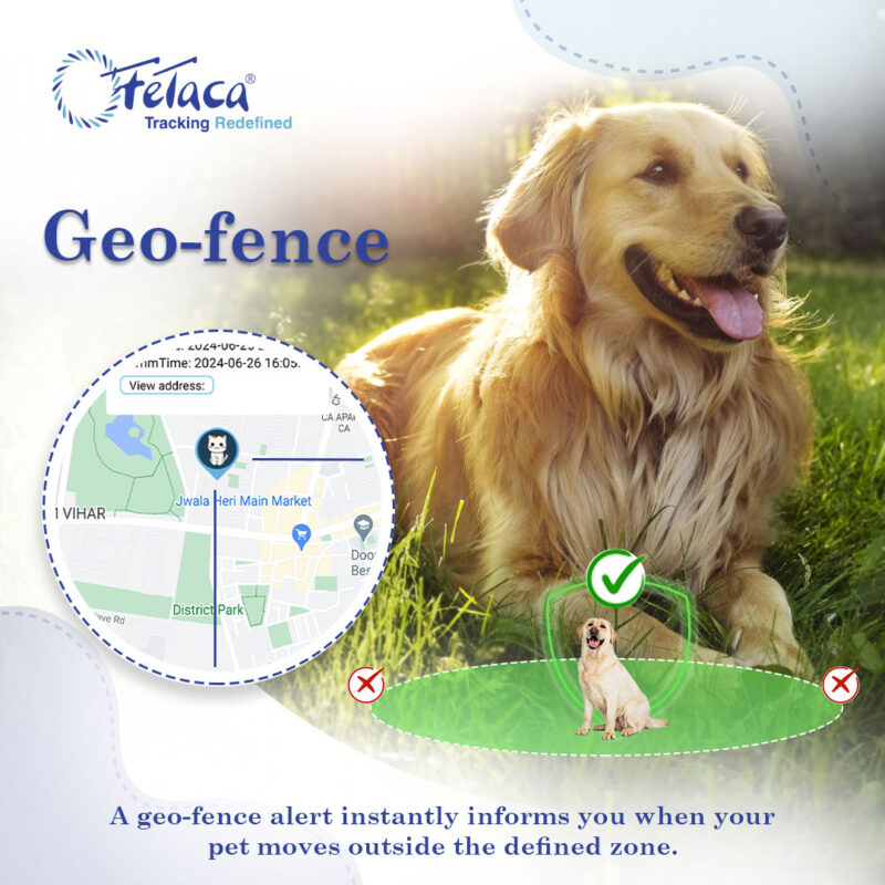 FeTaca® 4G Waterproof Pet GPS Tracker with Activity & More