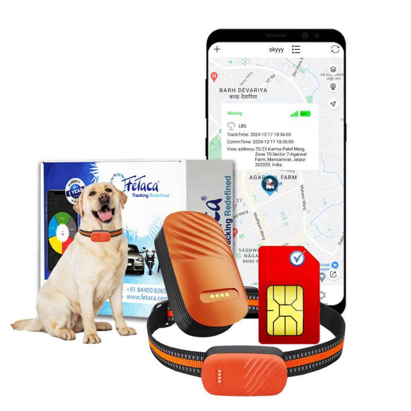 FeTaca® Smart 4G Pet GPS Tracker for Dogs, Small Cats & Other Animals