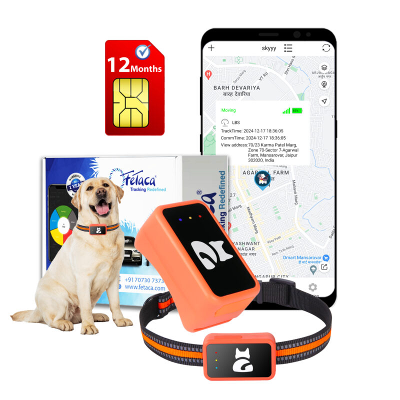FeTaca® Smart 4G mini Pet G68P GPS Tracker for Dogs, Small Cats & Other Animals