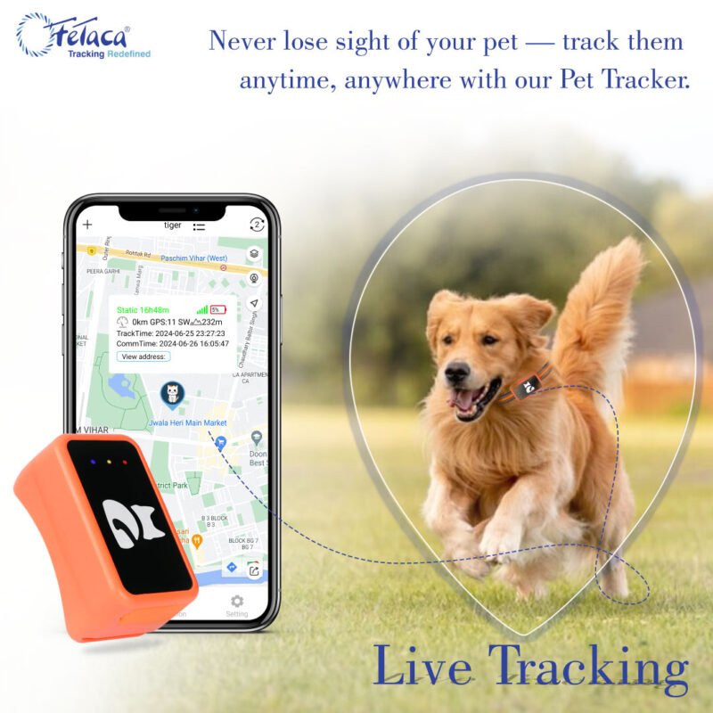 FeTaca® Smart 4G mini Pet G68P GPS Tracker for Dogs, Small Cats & Other Animals
