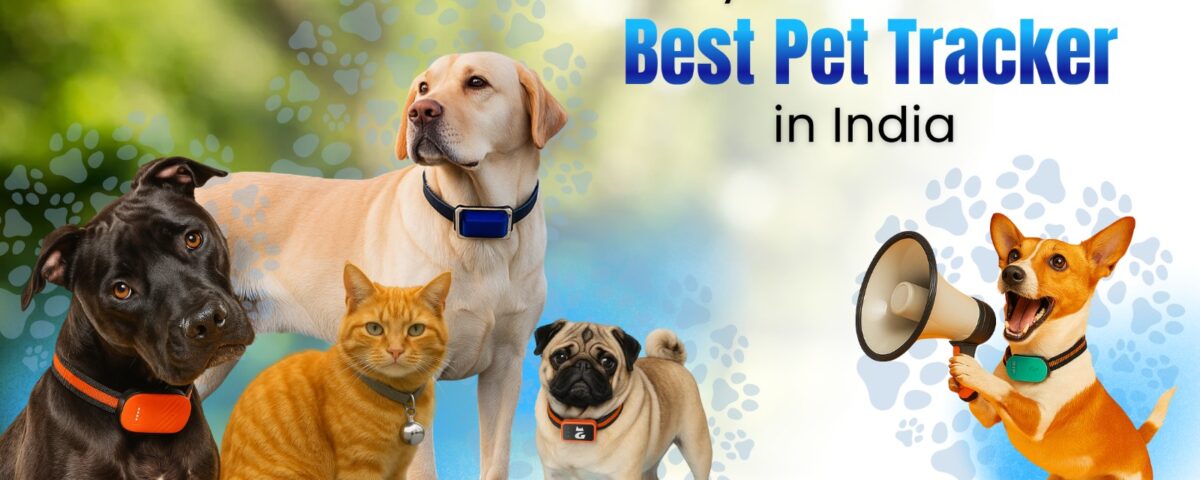 FETACA GPS Tracker blog thumbnail showing product features and safety benefits